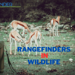 Rangefinders in Wildlife