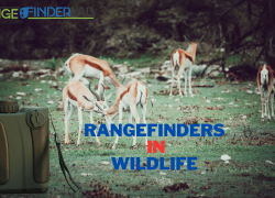 The Role of Rangefinders in Wildlife Conservation
